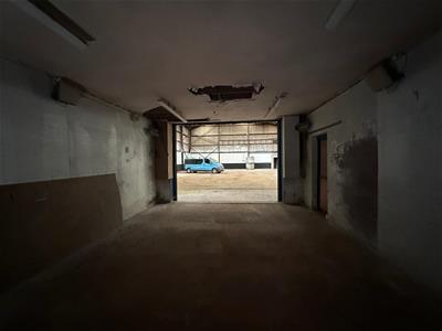 Picture 5